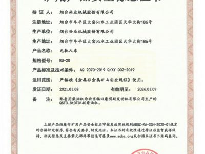 RU-20无轨人车