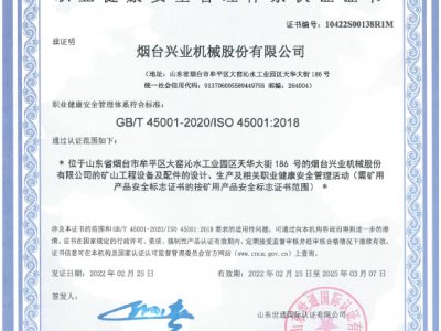 职业健康安全治理系统